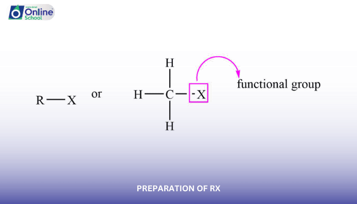 Lesson 03: Preparation of RX